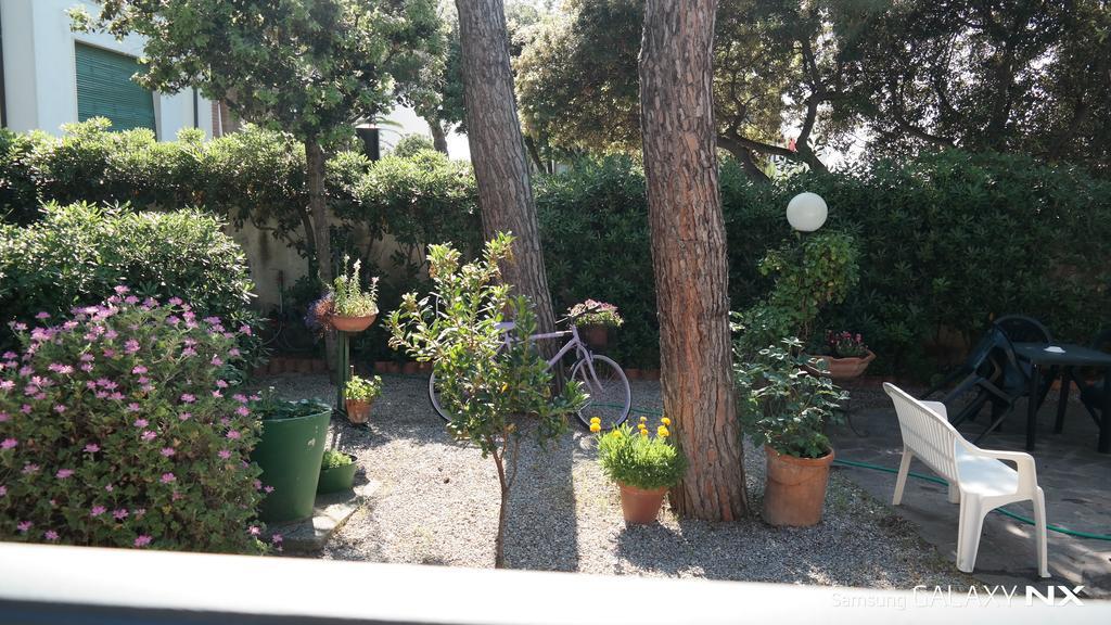 La Zattera Camere San Vincenzo Eksteriør bilde